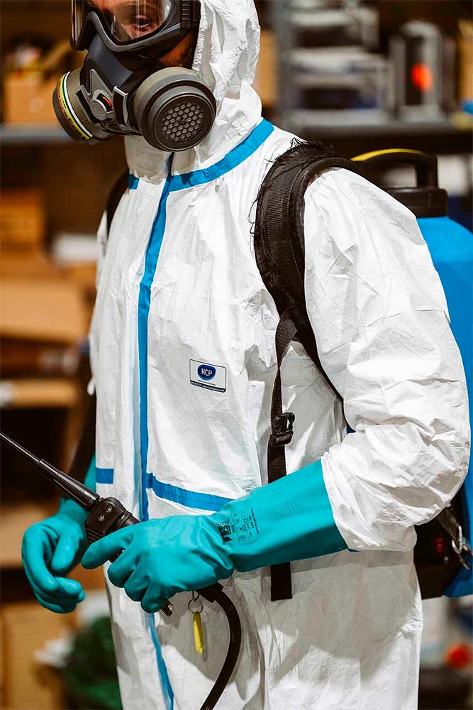 Empresa de desinfección de plagas en Bilbao