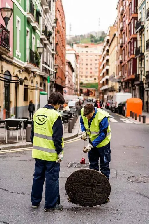 desratización en Bilbao procedimiento