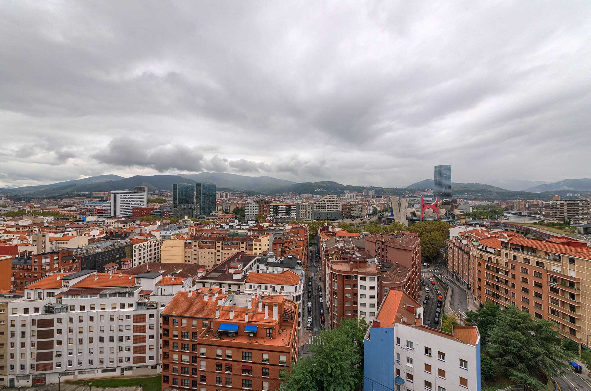 plagas en bizkaia en otoño